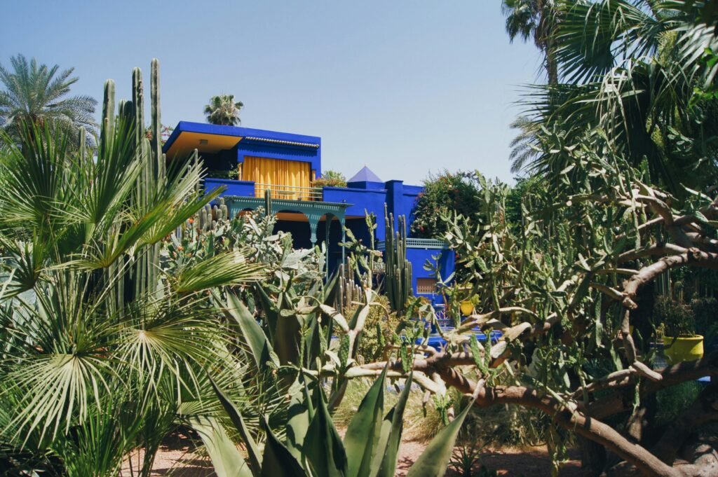 Vibrant Majorelle Blue house surrounded by lush exotic plants and cacti under a clear sky.