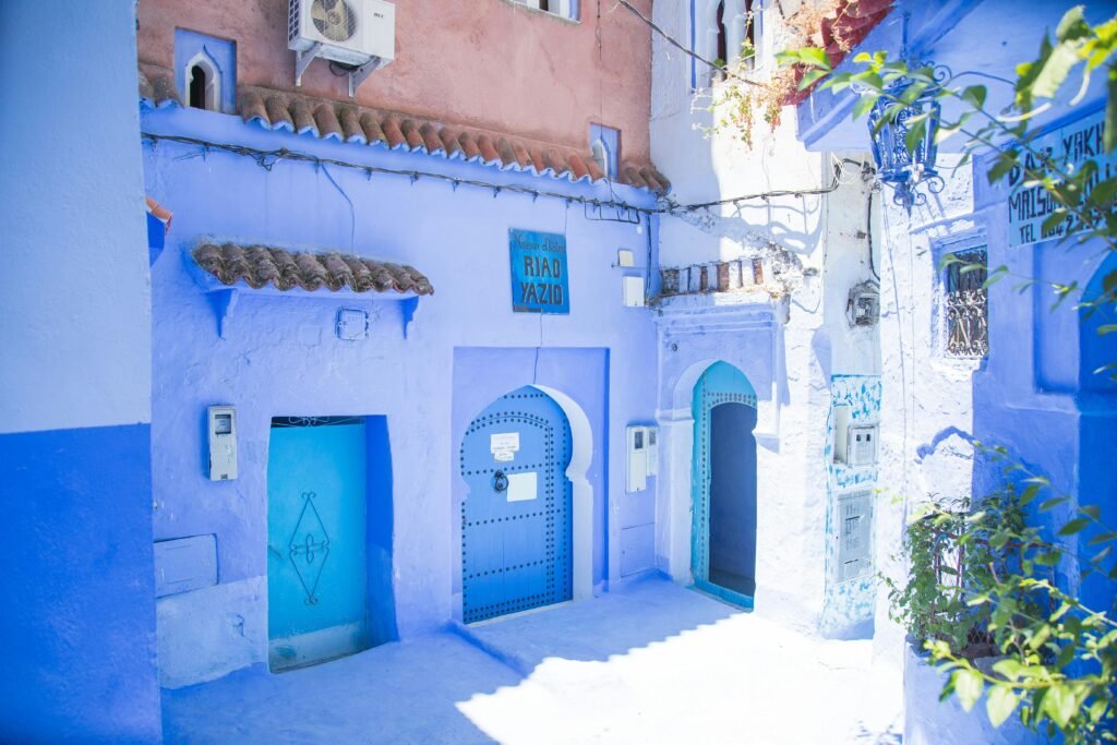 Blue exterior of house with doors located under sunlight on street with green plants in city of Morocco in summer