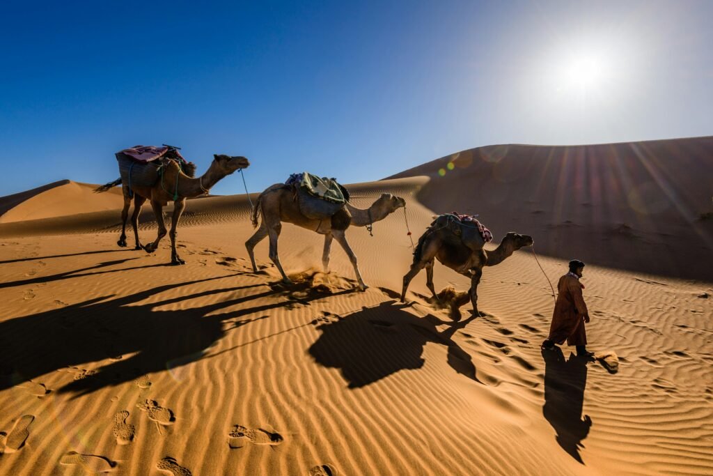 Camels and a person traverse sand dunes under the bright desert sun.