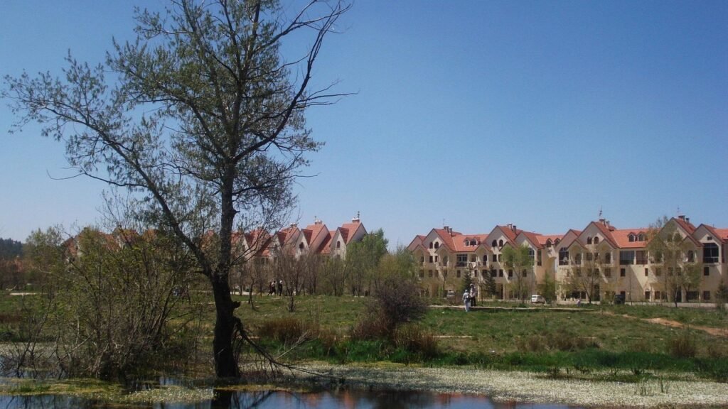 nature, ifran, morocco, ifran, ifran, ifran, ifran, ifran